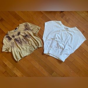 Two Zara cropped T-shirts